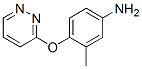 Benzenamine,3-methyl-4-(3-pyridazinyloxy)- (9ci) Structure,871020-44-9Structure