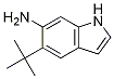 5-叔丁基-1H-吲哚-6-胺结构式_873055-31-3结构式