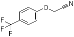 874804-02-1结构式