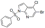 1H-Pyrrolo[2,3-b]pyridine, 5-bromo-4-chloro-1-(phenylsulfonyl)- Structure,876343-81-6Structure