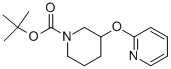 Tert-butyl 3-(pyridin-2-yloxy)piperidine-1-carboxylate Structure,877168-36-0Structure