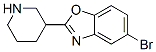 5-Bromo-2-piperidin-3-yl-benzooxazole Structure,885275-09-2Structure