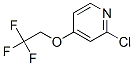 885277-01-0结构式