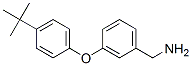 3-(4-Tert-butyl-phenoxy)benzylamine Structure,887582-95-8Structure