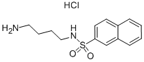 N-(4-aminobutyl)-2-naphthalenesulfonamide hydrochloride Structure,89108-46-3Structure