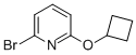 2-Bromo-6-(cyclobutyloxy)pyridine Structure,891842-80-1Structure