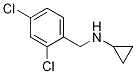 Cyclopropyl-(2,4-dichloro-benzyl)-amine Structure,892568-95-5Structure