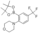 4-[2-(4,4,5,5-Tetramethyl-1,3,2-dioxaborolan-2-yl)-4-(trifluoromethyl)phenyl]morpholine Structure,906352-77-0Structure