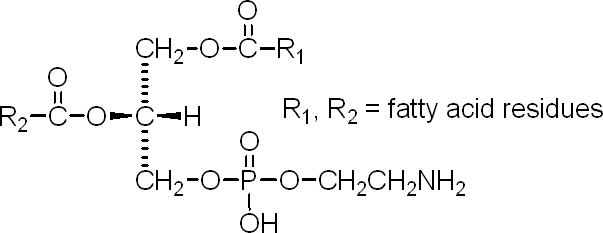 Phosphatidylethanolamine from sheep brain Structure,90989-93-8Structure