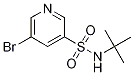 5-Bromo-n-tert-butylpyridine-3-sulfonamide Structure,911111-80-3Structure