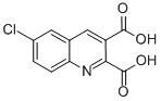 6-Chloroquinoline-2,3-dicarboxylic acid Structure,92513-50-3Structure