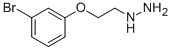 [2-(3-Bromophenoxy)ethyl]hydrazine Structure,926195-07-5Structure