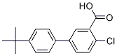 4-(Tert-butyl)-4-chloro-[1,1-biphenyl]-3-carboxylicacid Structure,926201-32-3Structure