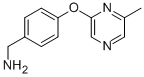 4-[(6-Methylpyrazin-2-yl)oxy]benzylamine Structure,926921-67-7Structure