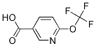 Trifluoromethoxypyridine-3-carboxylic acid Structure,940895-85-2Structure