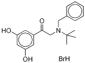 1-(3,5-Dihydroxyphenyl)-2-[(1,1-dimethylethyl)(phenylmethyl)amino]ethanone hydrobromide Structure,94109-61-2Structure