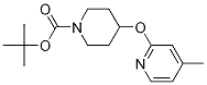 4-(4-Methyl-pyridin-2-yloxy)-piperidine-1-carboxylic acid tert-butyl ester Structure,944390-87-8Structure