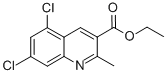 5,7-Dichloro-2-methylquinoline-3-carboxylic acid ethyl ester Structure,948293-72-9Structure