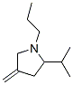 (9CI)-4-亚甲基-2-(1-甲基乙基)-1-丙基-吡咯烷结构式_94956-96-4结构式