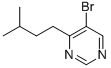 5-Bromo-4-isopentylpyrimidine Structure,951884-42-7Structure