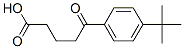 5-(4-tert-Butylphenyl)-5-oxovaleric acid Structure,97692-66-5Structure