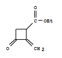 (9ci)-2-亚甲基-3-氧代-环丁烷羧酸乙酯结构式_220301-46-2结构式