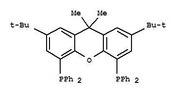 (R,r)-2,7-二-叔丁基-9,9-二甲基-4,5-双(甲基苯膦)氧杂蒽结构式_221462-97-1结构式