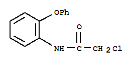 2-Chloro-n-(2-phenoxy-phenyl)-acetamide Structure,22504-02-5Structure