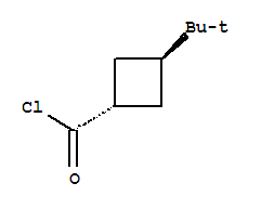 反式-(8ci)-3-叔丁基-环丁烷羰酰氯结构式_24165-53-5结构式