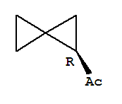 Ethanone, 1-(1r)-spiro[2.2]pentyl-(9ci) Structure,249563-60-8Structure