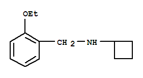 Benzenemethanamine, n-cyclobutyl-2-ethoxy-(9ci) Structure,251086-12-1Structure