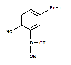 Boronic acid, [2-hydroxy-5-(1-methylethyl)phenyl]-(9ci) Structure,259209-33-1Structure