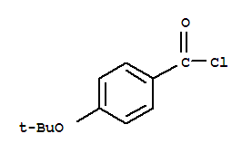 Benzoyl chloride, 4-(1,1-dimethylethoxy)-(9ci)Structure,263841-86-7Structure Benzoyl chloride, 4-(1,1-dimethylethoxy)-(9ci) Structure,263841-86-7Structure