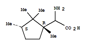 Cyclopentaneacetic acid,-alpha--amino-1,2,2,3-tetramethyl -,(1r,3s)- (9ci) Structure,314271-69-7Structure