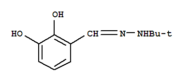 Benzaldehyde,2,3-dihydroxy-,(1,1-dimethylethyl)hydrazone (9ci) Structure,389610-37-1Structure