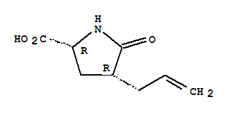 D-proline, 5-oxo-4-(2-propenyl)-, (4r)-(9ci) Structure,402579-26-4Structure