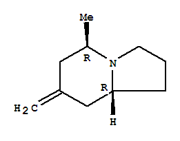 Indolizine, octahydro-5-methyl-7-methylene-, (5r,8ar)-(9ci) Structure,727985-42-4Structure