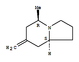 (5r,8as)-(9ci)-八氢-5-甲基-7-亚甲基-吲哚嗪结构式_727985-43-5结构式