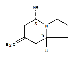 Indolizine, octahydro-5-methyl-7-methylene-, (5s,8ar)-(9ci) Structure,729612-51-5Structure