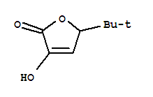 2(5H)-furanone, 5-(1,1-dimethylethyl)-3-hydroxy-(9ci) Structure,746639-69-0Structure