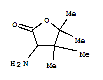 2(3H)-furanone, 3-aminodihydro-4,4,5,5-tetramethyl-(9ci) Structure,747359-10-0Structure