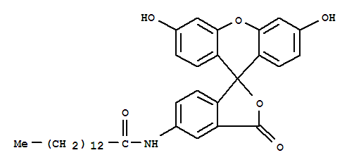 5-(十四酰氨基)荧光素结构式_75796-37-1结构式