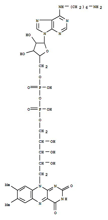 N6-(6-aminohexyl)-fad Structure,76748-73-7Structure