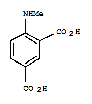 4-(甲基氨基)-异酞酸结构式_779349-89-2结构式