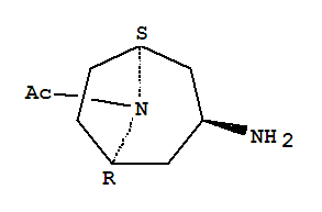 8-Acetyl-(3-endo)-8-azabicyclo[3.2.1]octan-3-amine Structure,793662-76-7Structure