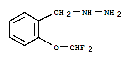 1-([2-(Difluoromethoxy)phenyl]methyl)hydrazine Structure,887596-66-9Structure