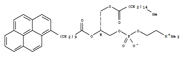 beta-(Pyren-1-Yl)Decanoyl-gamma-Palmitoyl-L-alpha-Phosphatidylcholine Structure,95864-17-8Structure