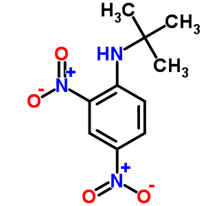 Benzenamine,n-(1,1-dimethylethyl)-2,4-dinitro- Structure,13059-89-7Structure