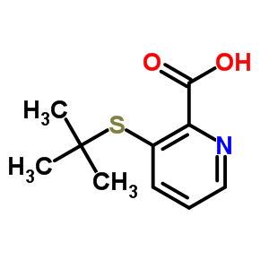 3-(Tert-butylthio)pyridine-2-carboxylic acid Structure,178811-41-1Structure