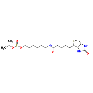 6-N-biotinylaminohexyl isopropyl hydrogenphosphonate Structure,224583-37-3Structure